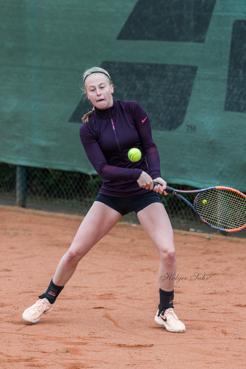 Bild 199 - NL VfL Westercelle - SVE Wiefelstede : Ergebnis: 8:1